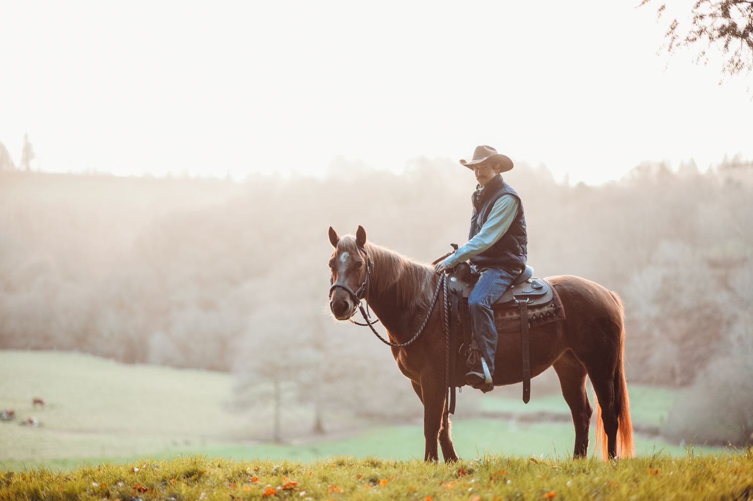 Marine Croum photographe chevaux